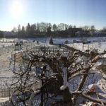 Anlage_3