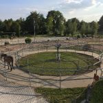 Anlage_5