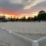 IMG_3466